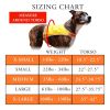 Lite Dog Vest M Size Coverage to Mid Back. Reflective Hi Visibility Blaze Orange Fluorescent Fabric Helps to Keep Them in Sight and Safe On and Off Le