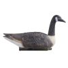 Canada Goose Decoys, Outdoors Goose Decoy for Waterfowl Hunting, Durable Plastic Floaters with Ultra Realistic Paint, for Pool, Pond, Lake