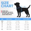 Dog Winter Coat L Size Blue Lightweight Reversible Warm Dog Jacket Water Resistant Windproof Jacket Dog Coats for Large Dogs